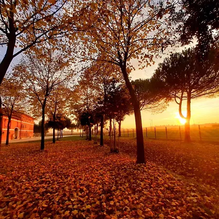 Fondo Gioconda Farm stay *